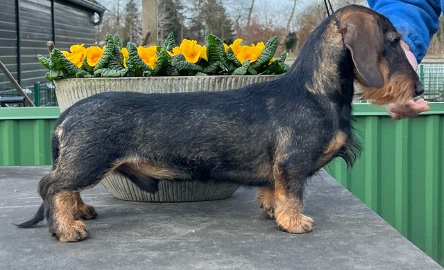 Wat een feest in Huize Aan den Voorhoeve.