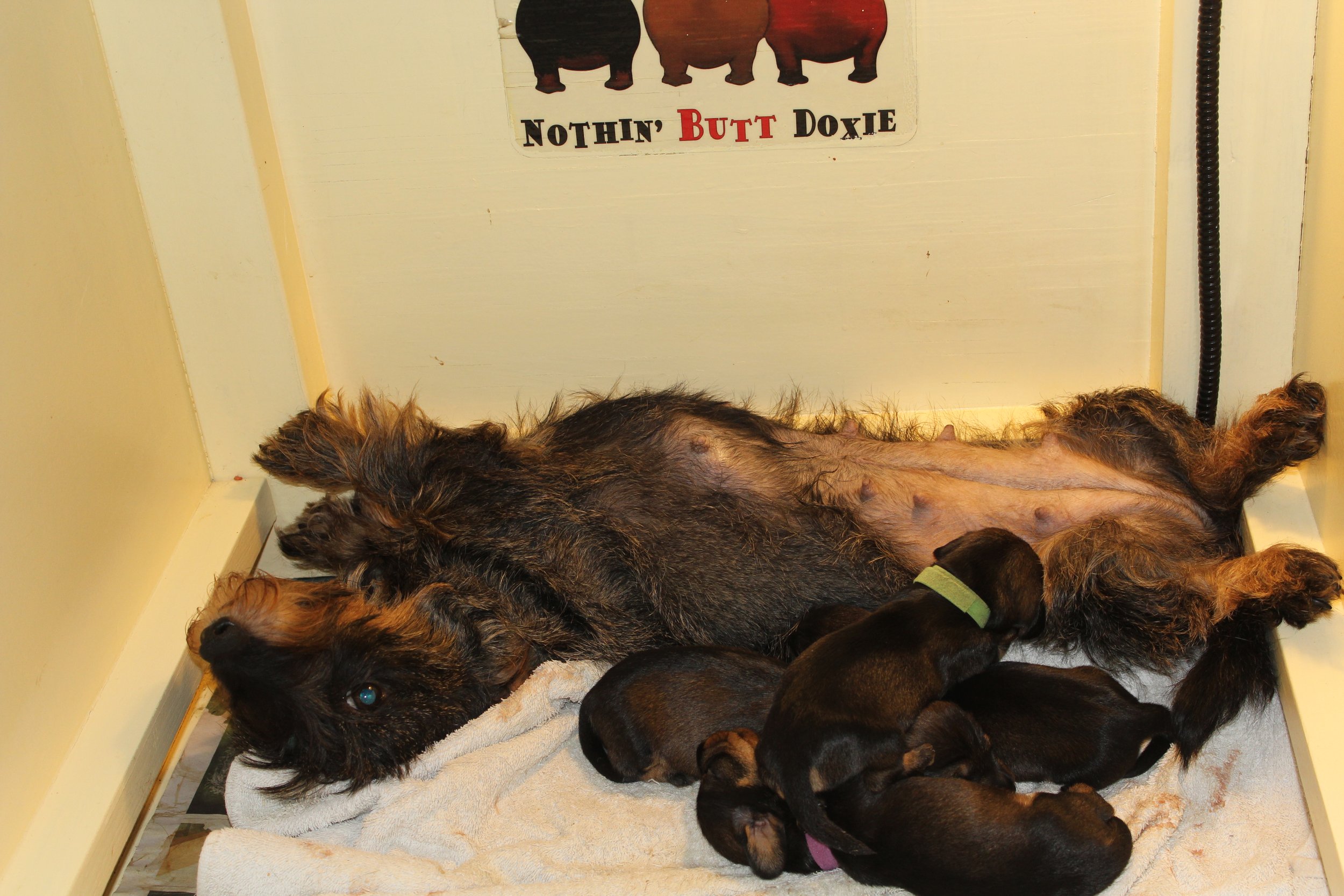 Kleintjes worden groot.