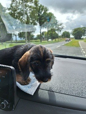 Hallo, reisverslag van Winter hier!